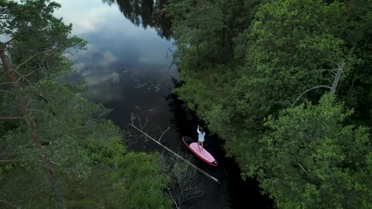 Stock Footage Woman On A Paddleboard On Forest River Live Wallpaper Free