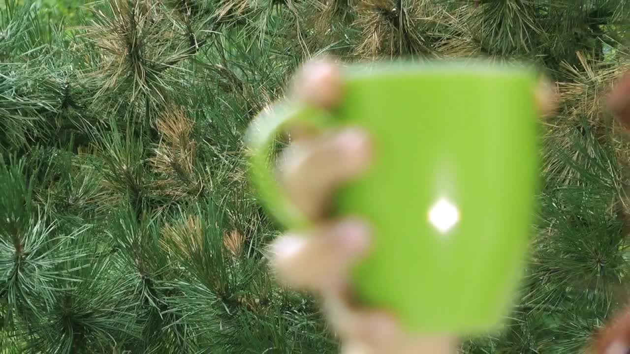 Stock Footage Young Woman Drinking Coffee Near A Garden Live Wallpaper Free