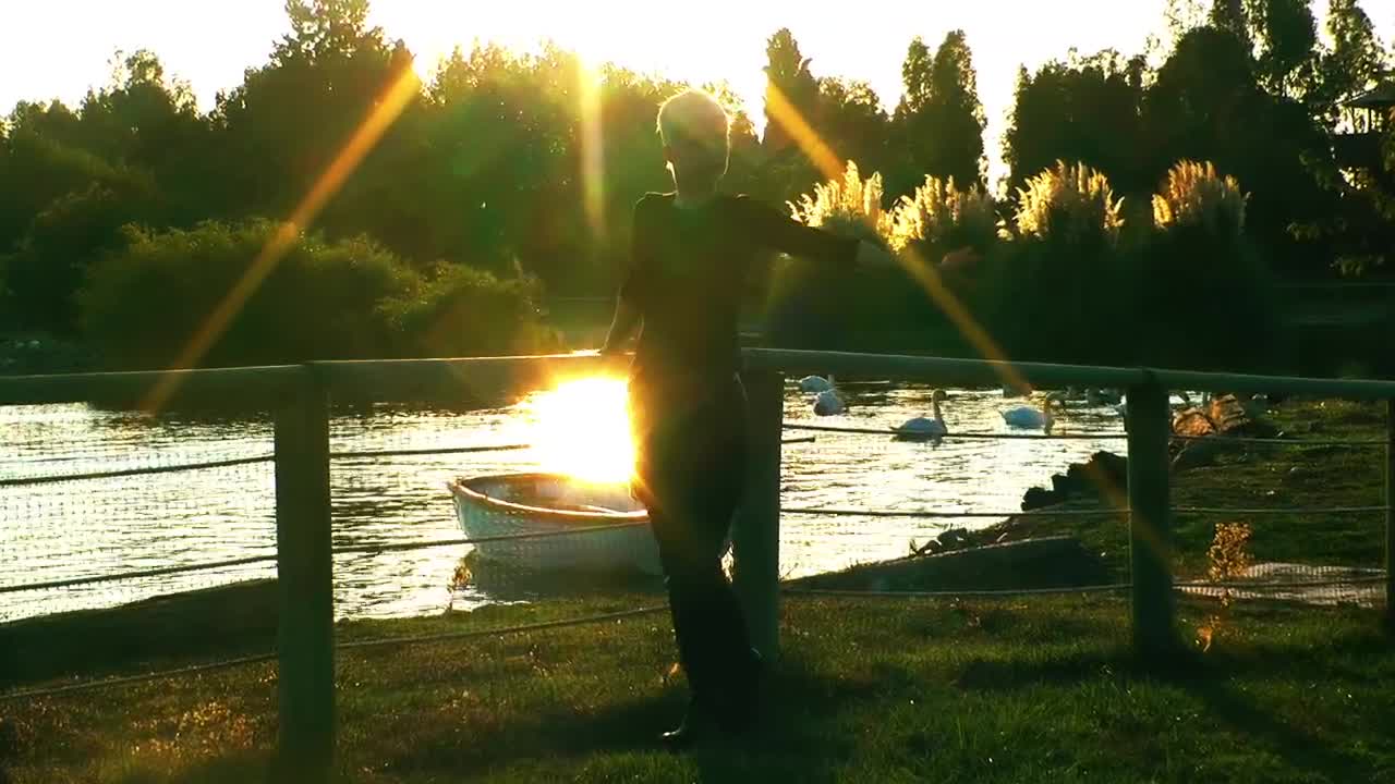 Stock Footage Woman Near A Lake With Swans Live Wallpaper Free