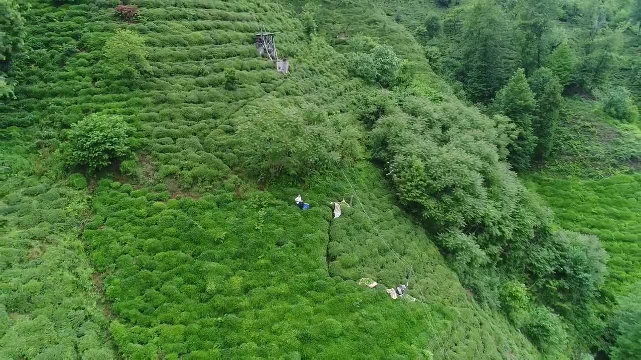Stock Footage Workers On A Terrace Live Wallpaper Free