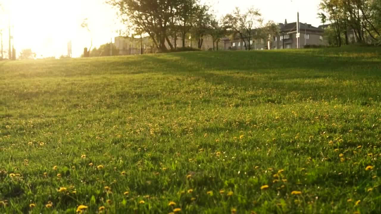Stock Footage Young Children Holding Hands And Running Live Wallpaper Free