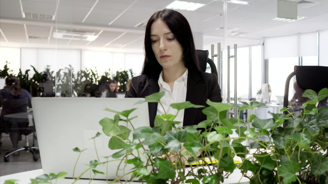 Stock Footage Woman Using Her Laptop At The Office Live Wallpaper Free