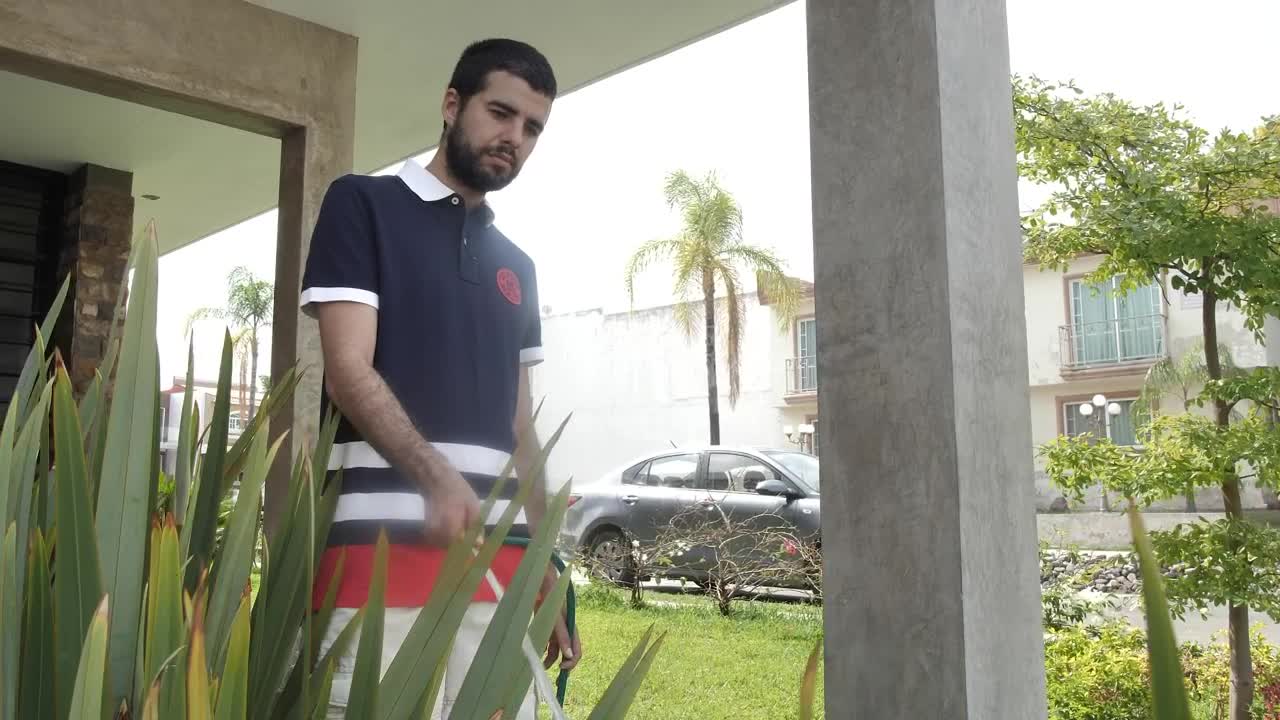 Stock Footage Young Man Watering His Home Garden Live Wallpaper Free