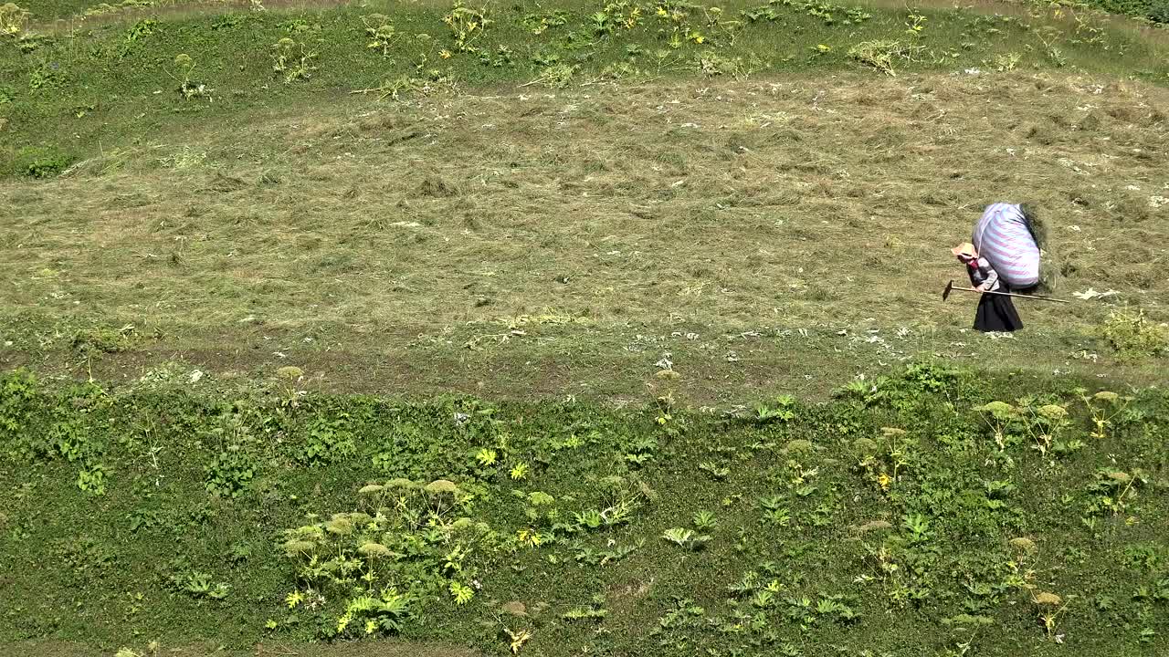 Stock Footage Women Walking On The Hill Carrying Crops On The Back Live Wallpaper Free
