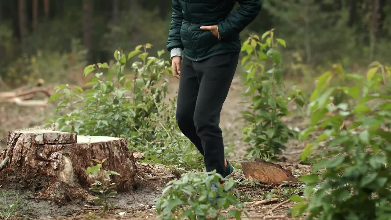 Stock Footage Young Woman Places Hand On Cut Tree Live Wallpaper Free
