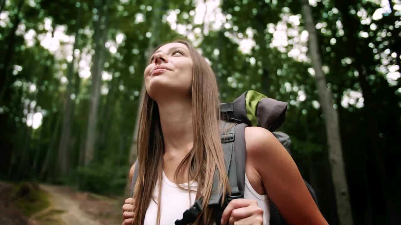 Stock Footage Woman Enjoys Sights And Forest Air On Hike Live Wallpaper Free