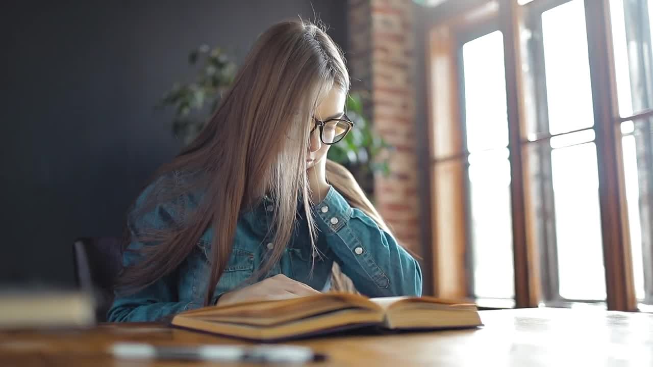 Stock Footage Young Student Reading A Book In Sunlit Room Live Wallpaper Free