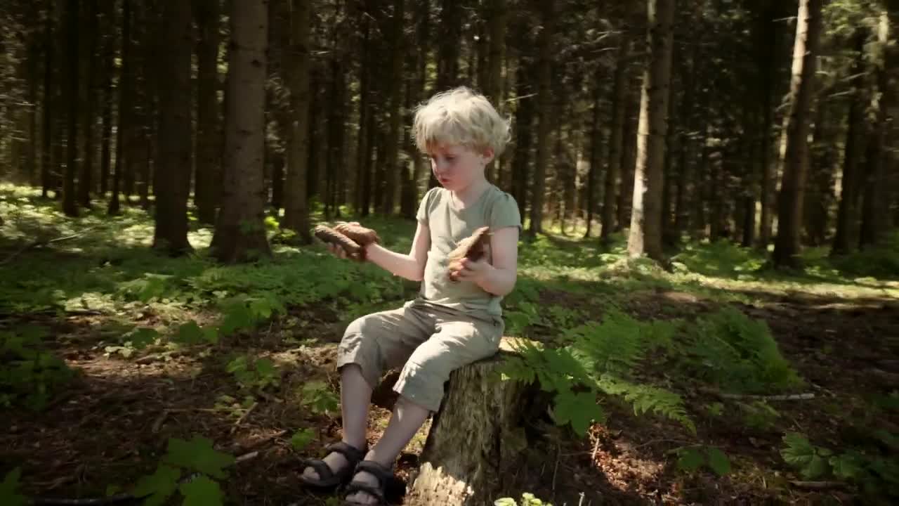 Stock Footage Young Boy Playing With Sticks Live Wallpaper Free