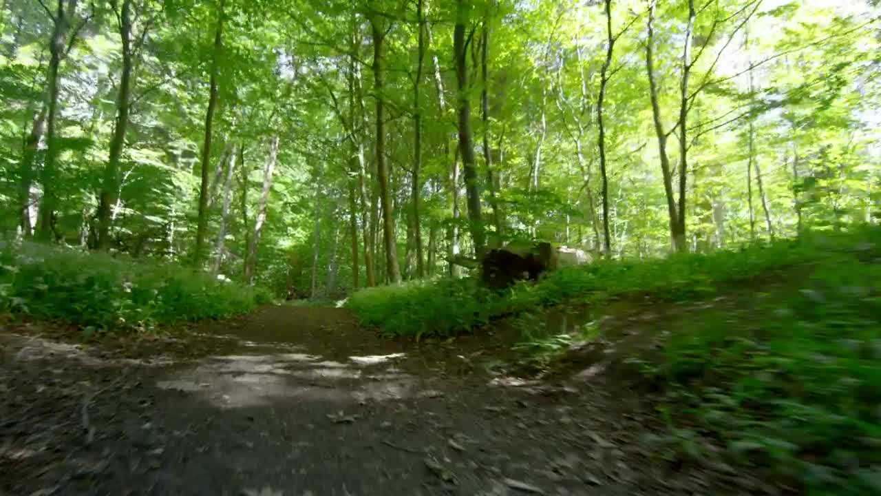 Stock Footage Young Man Running Through The Woods Live Wallpaper Free