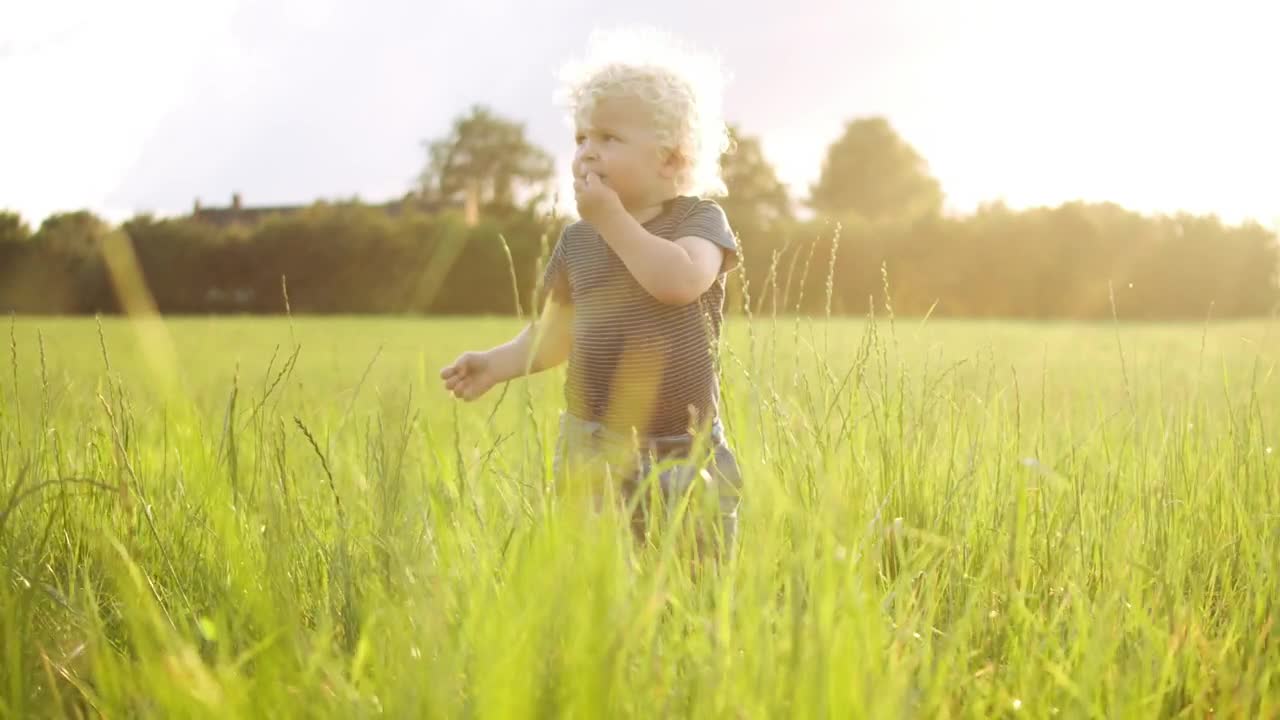 Stock Footage Young Boy Eating Grass Live Wallpaper Free