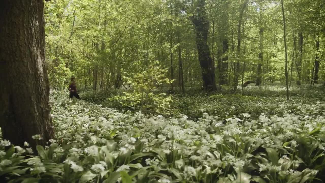 Stock Footage Woman Stopping For A Break Live Wallpaper Free