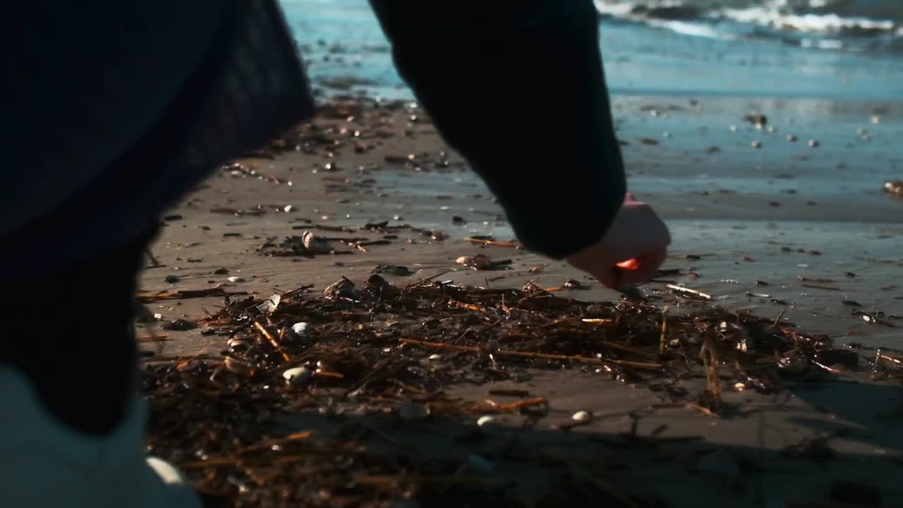 Stock Footage Woman Searching The Coast Live Wallpaper Free