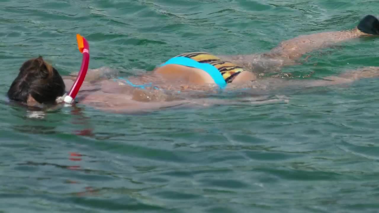 Stock Footage Woman Snorkeling In The Water Live Wallpaper Free