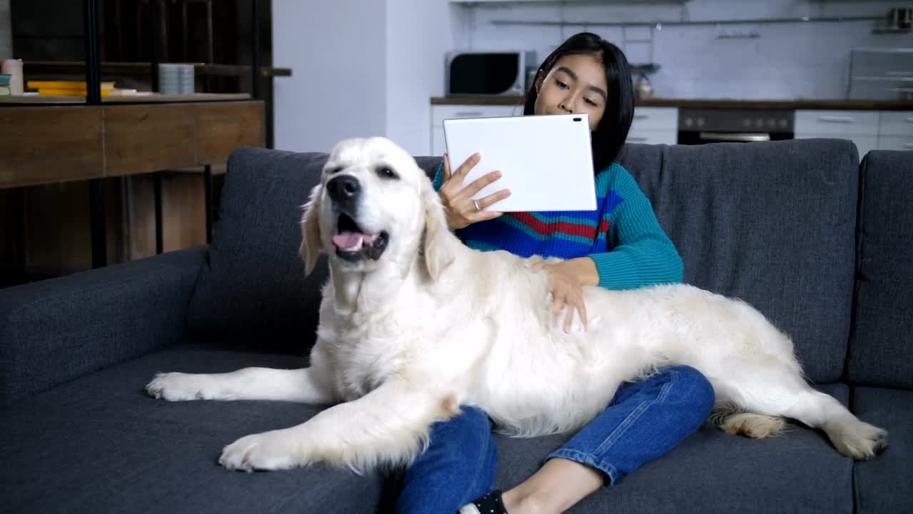 Stock Footage Woman With Her Pet Dog Live Wallpaper Free