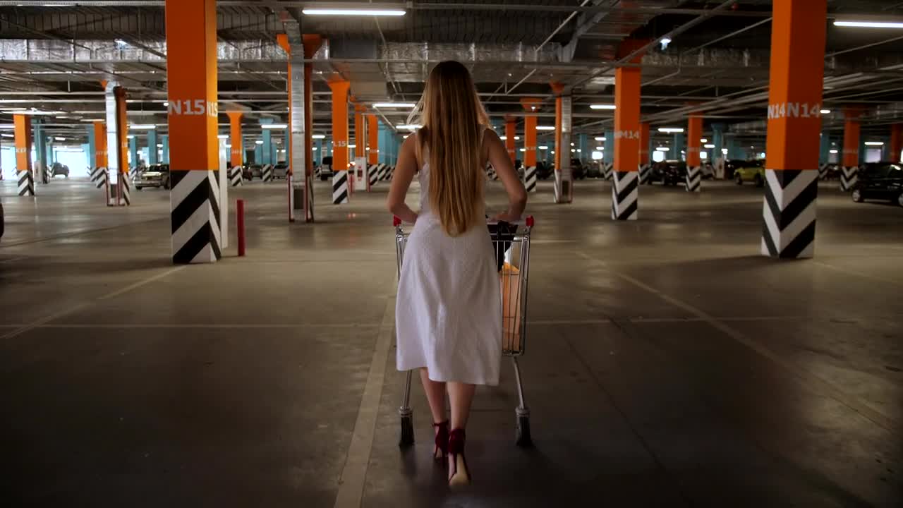 Stock Footage Woman Pushing A Shopping Cart Live Wallpaper Free