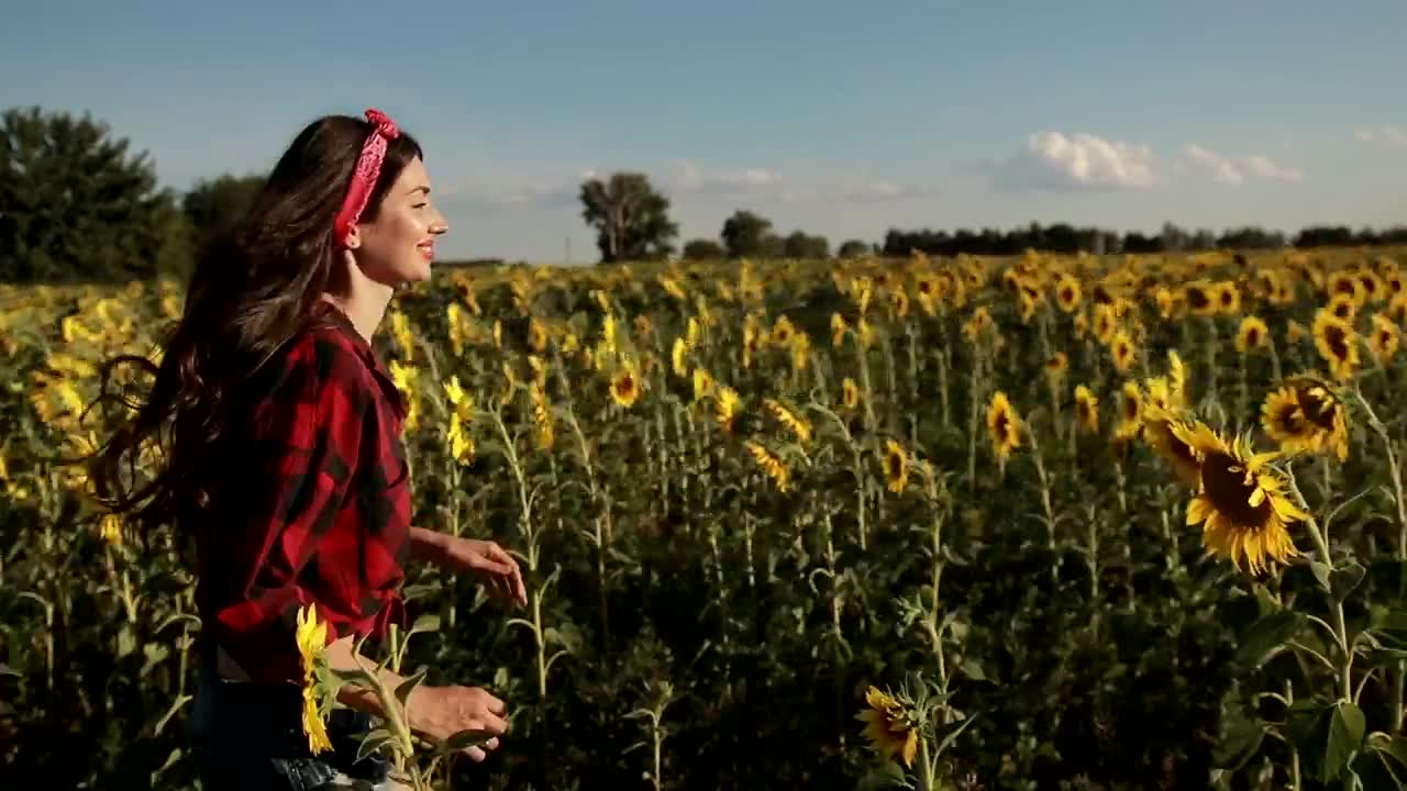 Stock Footage Young Woman Enjoying Nature Live Wallpaper Free