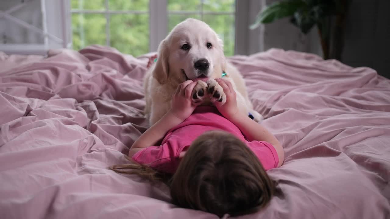 Stock Footage Young Girl Playing With A Puppy Live Wallpaper Free