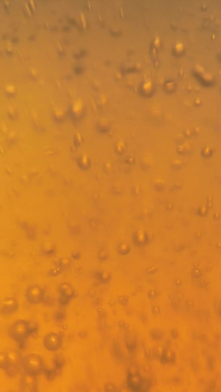 Stock Footage Yellow And Bubbly Beer Live Wallpaper Free