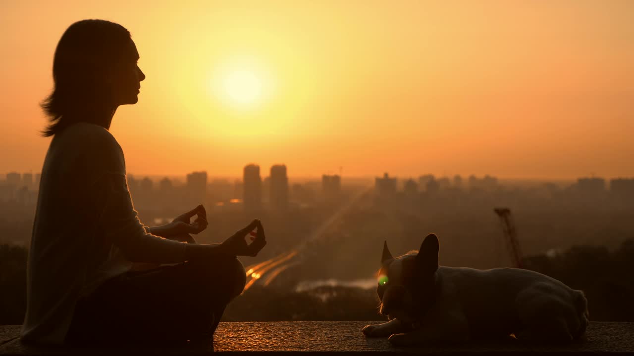 Stock Footage Woman Meditating With Her Dog In The Sunset Live Wallpaper Free