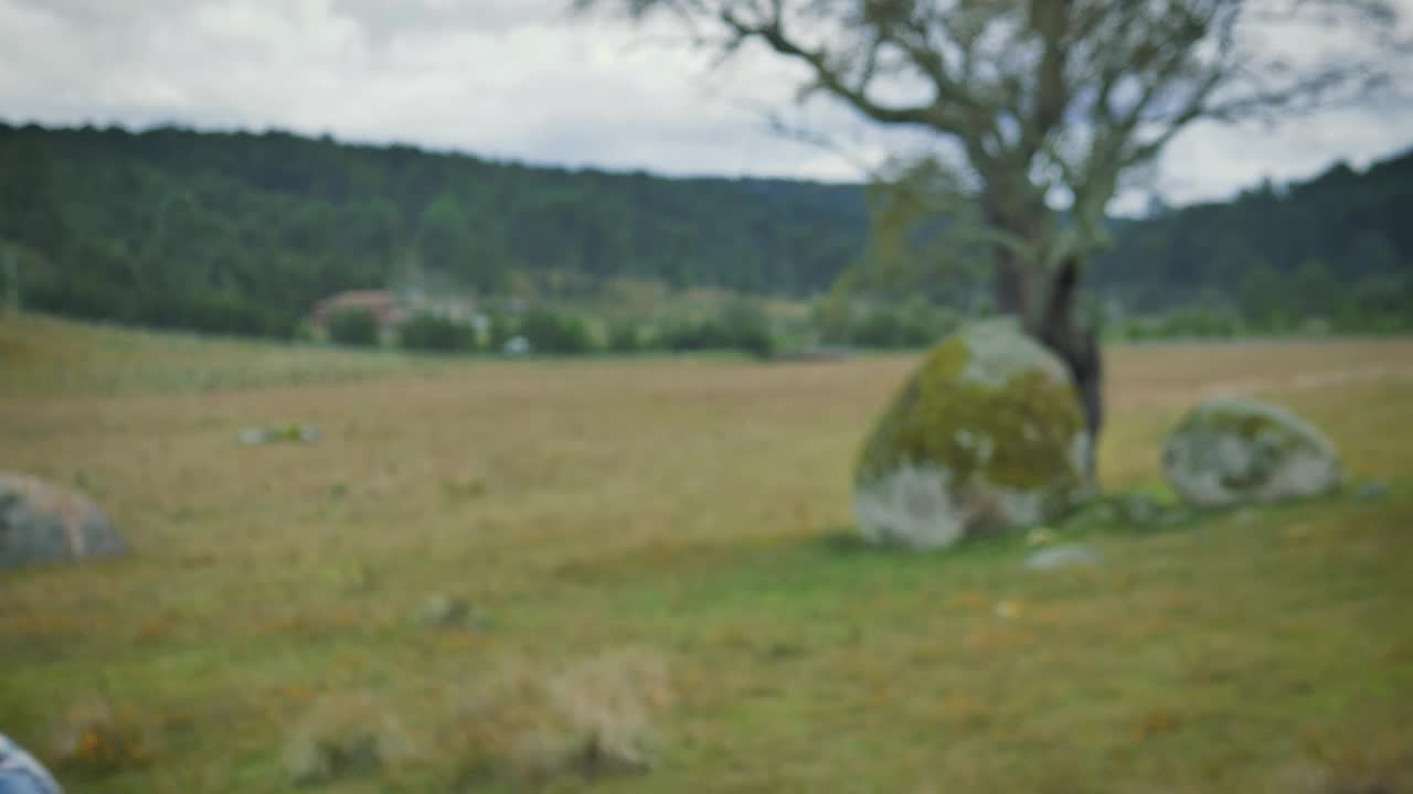 Stock Footage Woman Traveling Taking Photos In Nature Live Wallpaper Free