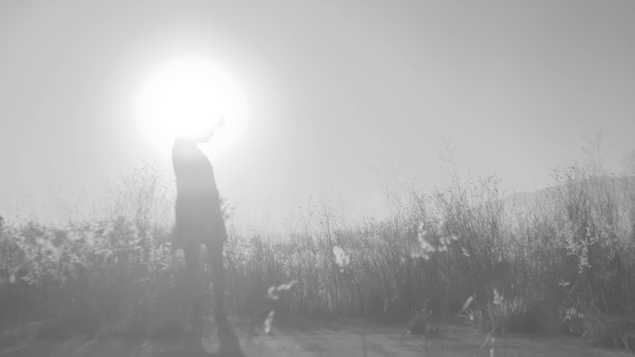 Stock Footage Women Dancing Against The Light In The Countryside Live Wallpaper Free