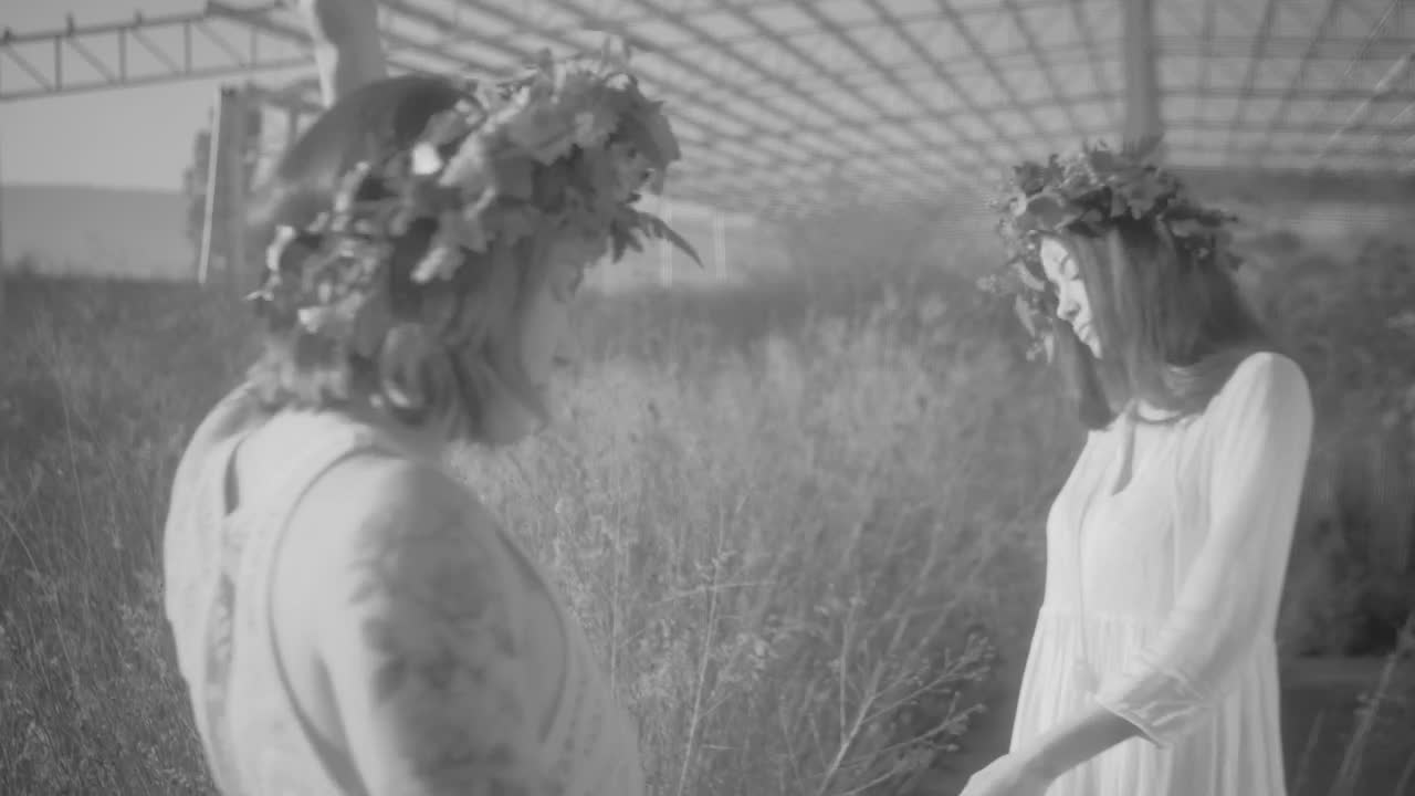 Stock Footage Young Women Couple Dancing And Moving In The Countryside Live Wallpaper Free