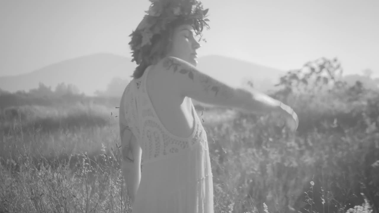 Stock Footage Young Women Wearing White Dresses Dancing In The Tall Grass Live Wallpaper Free