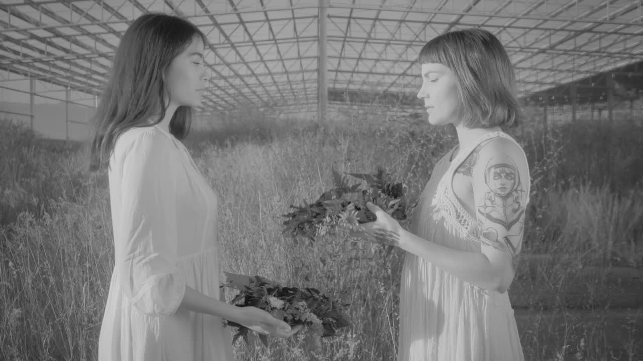 Stock Footage Women Put Some Wreaths On Each Other And Smile Live Wallpaper Free