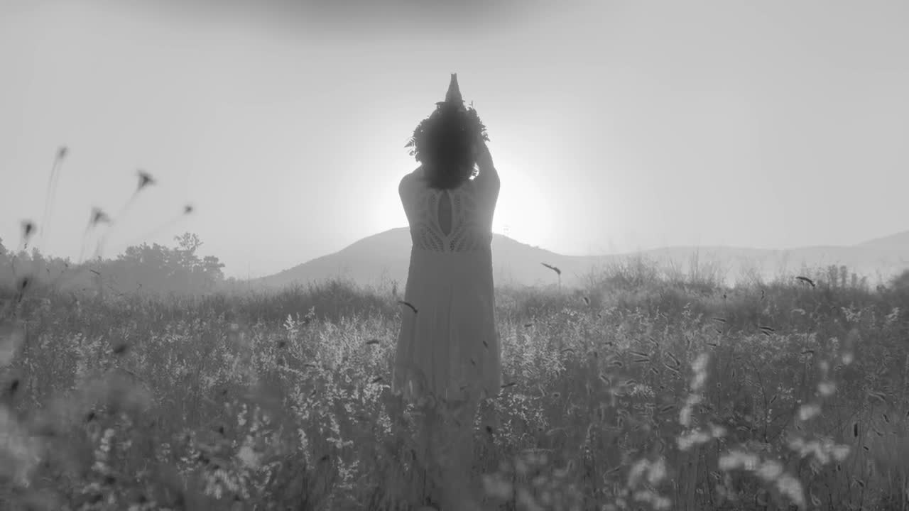 Stock Footage Woman Enjoying Nature Live Wallpaper Free