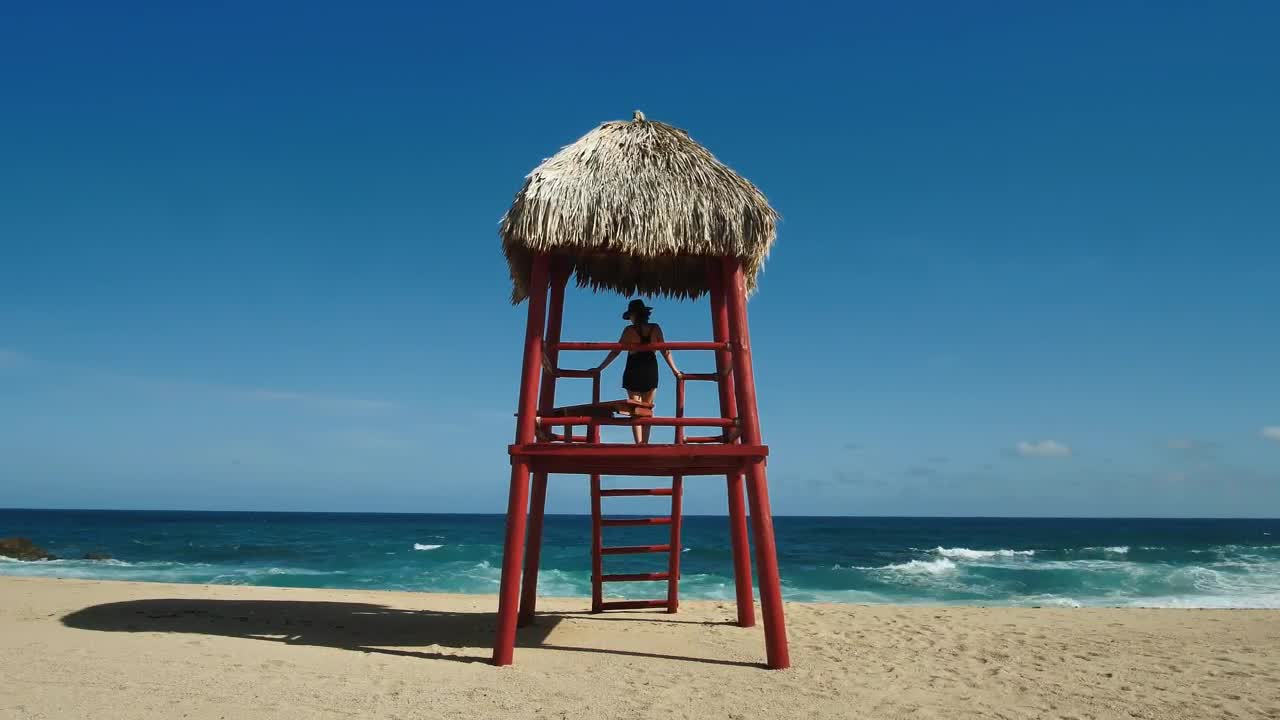 Stock Footage Woman Looking At Ocean Live Wallpaper Free