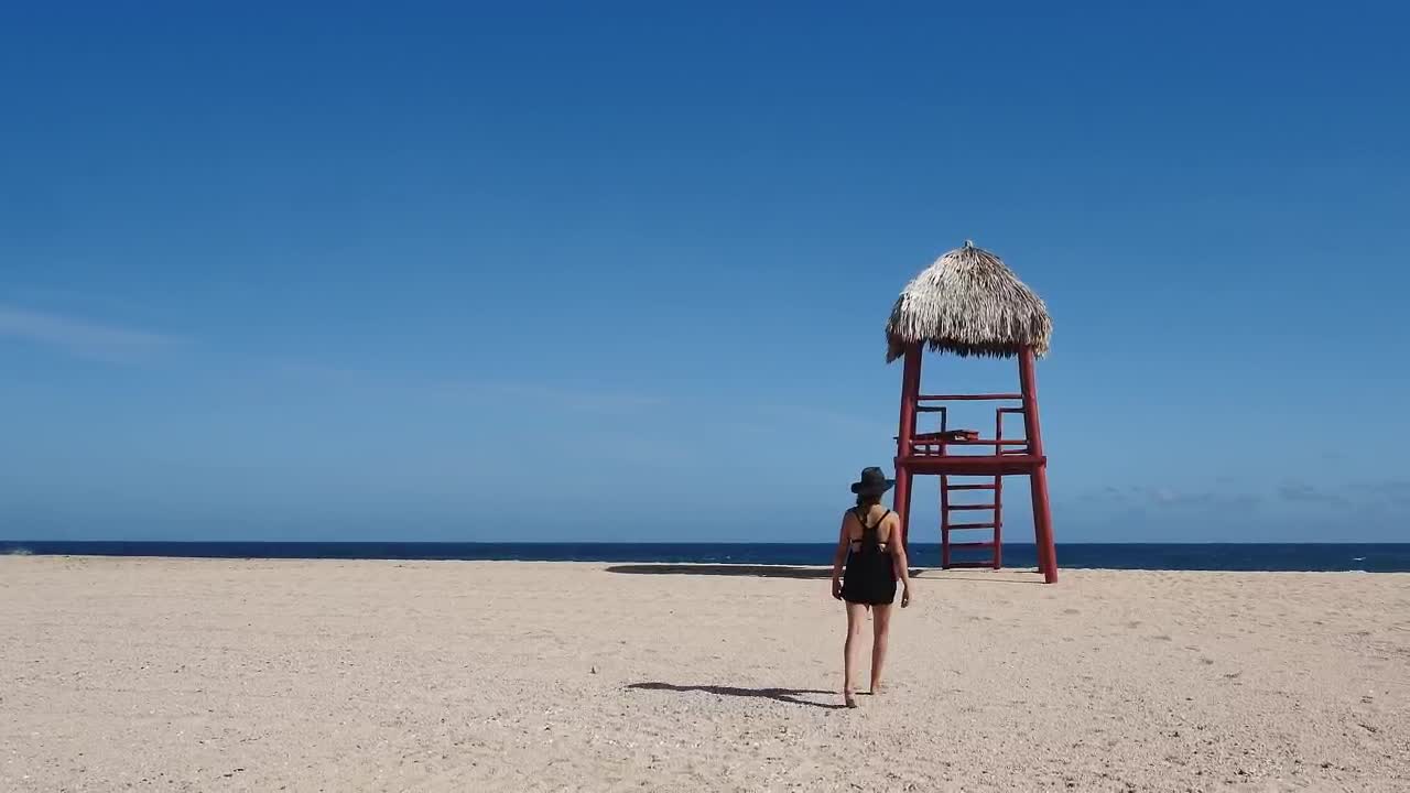Stock Footage Woman Walking Barefoot On The Beach Live Wallpaper Free