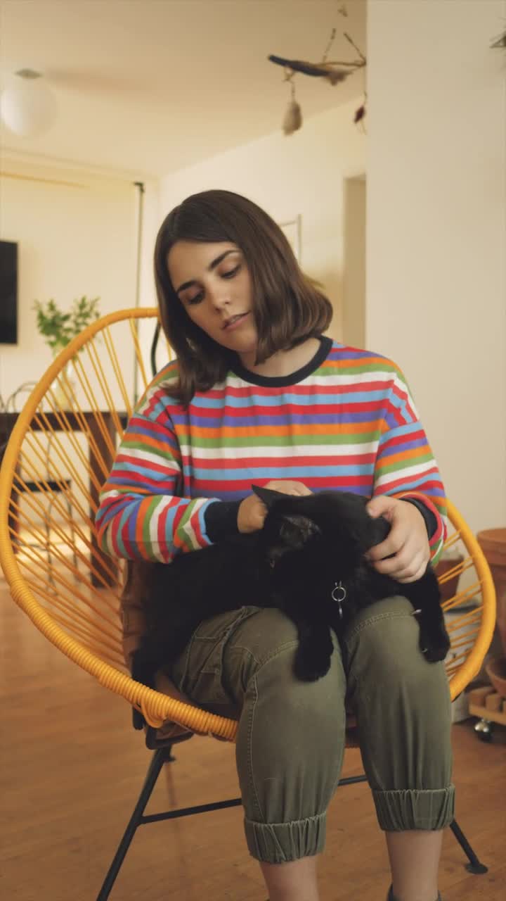 Stock Footage Woman Petting A Cat Live Wallpaper Free