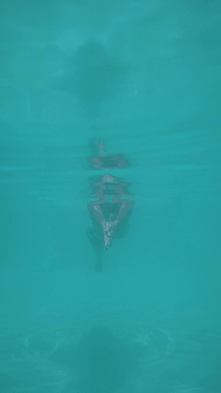 Stock Footage Young Woman Swimming Underwater In A Pool Live Wallpaper Free