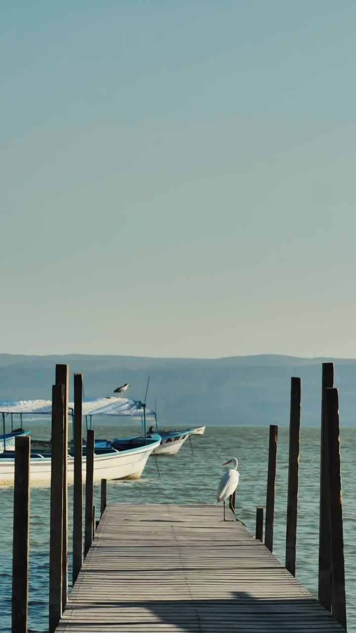 Stock Footage Wooden Pier Over A Body Of Water Live Wallpaper Free