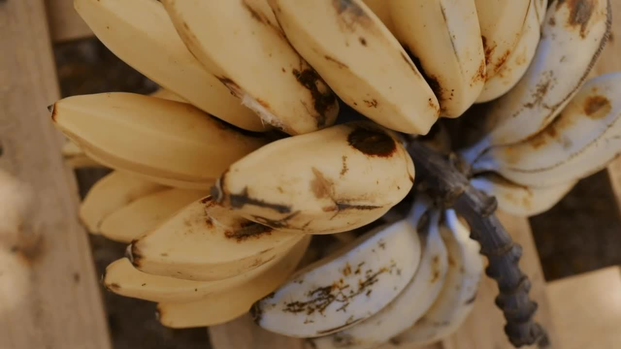 Stock Footage Wooden Table With Bananas Live Wallpaper Free