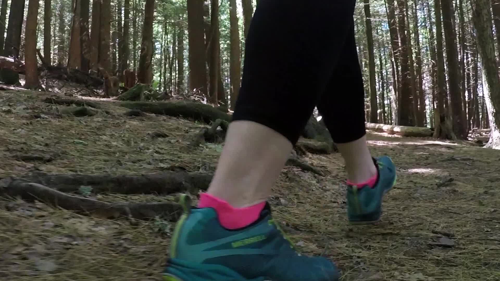 Forest Hike Video Live Wallpaper