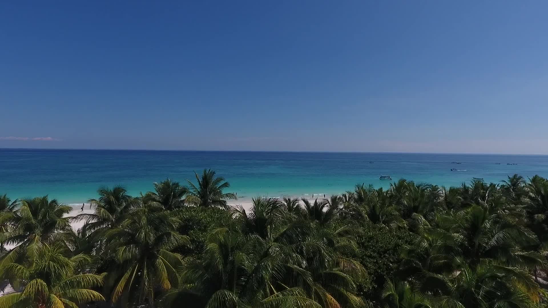 Free Video Drone Video Beach Blue Sea Palm Trees Video Live Wallpaper