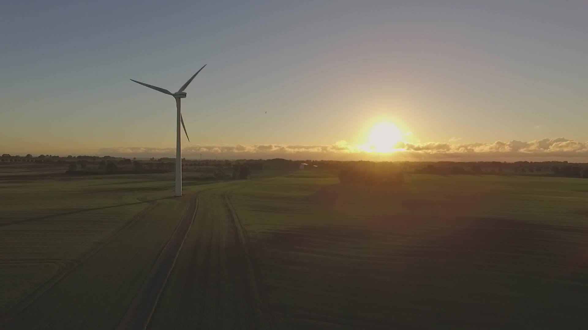 Ree Video Wind Turbine Sunrise Video Live Wallpaper