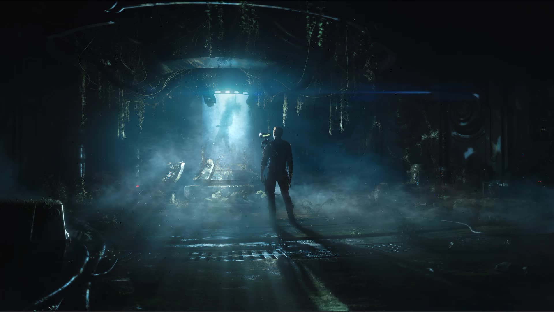 Star Wars Jedi Survivor Live Wallpaper