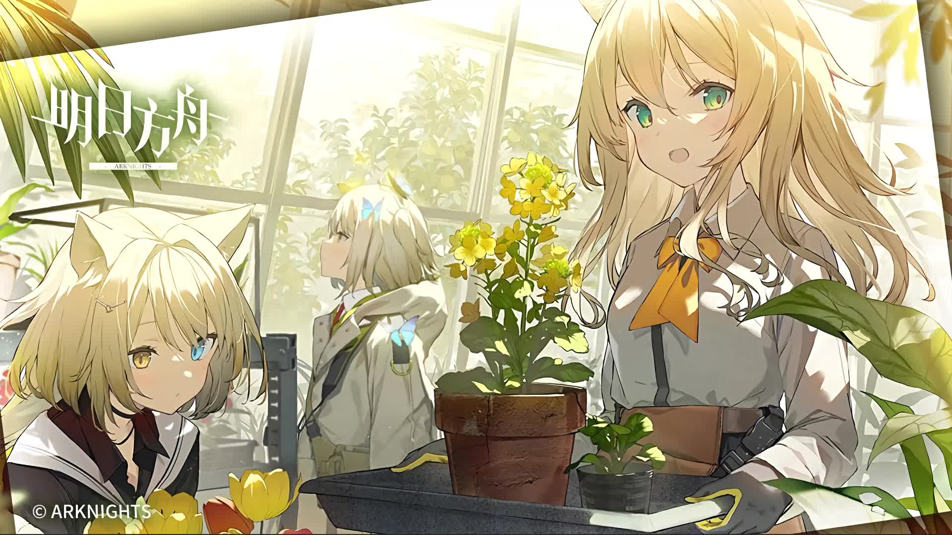 Arknights Blond Girls Anime Live Wallpaper