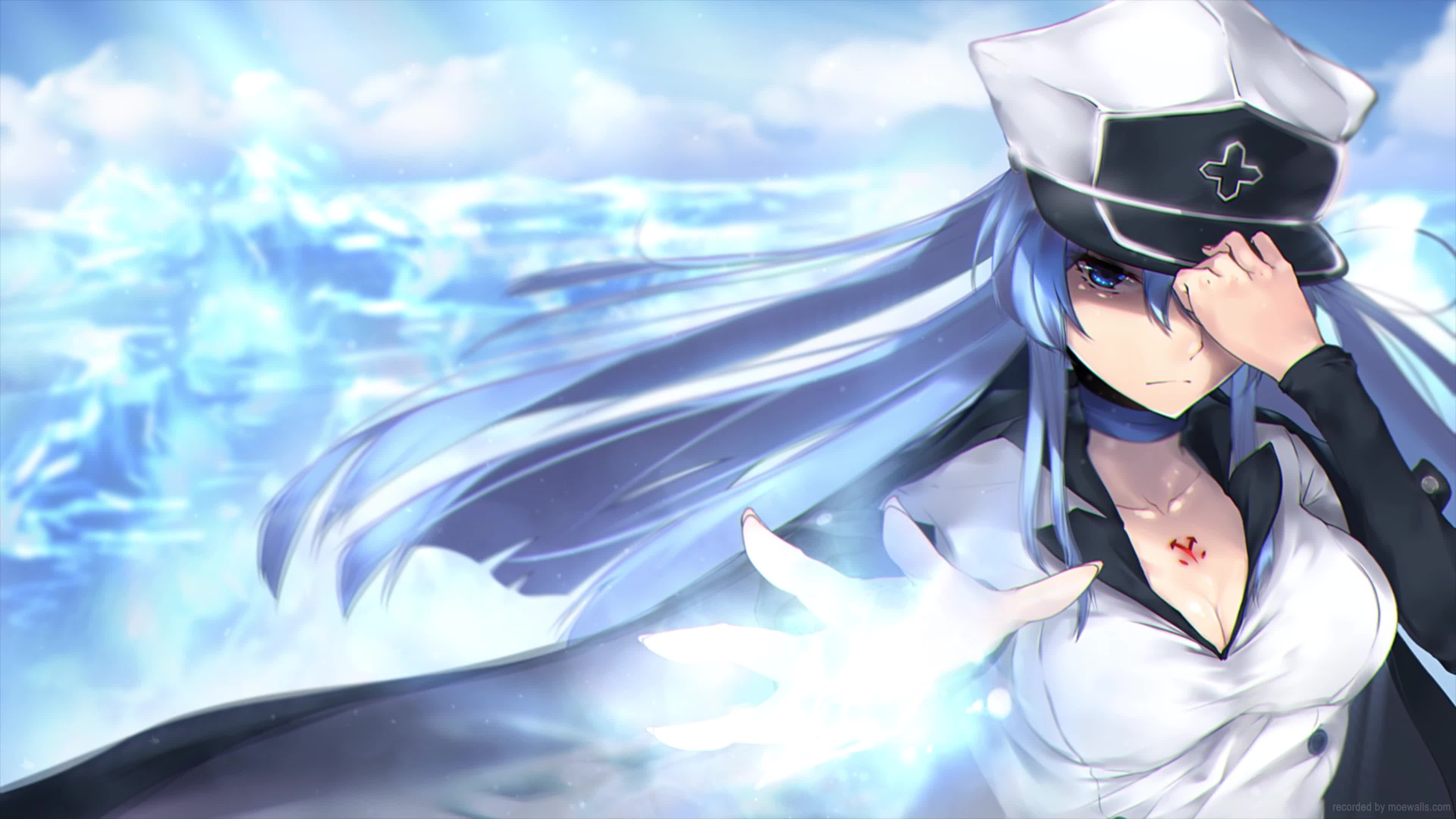 Desktop Esdeath Akame Ga Kill Live Wallpaper