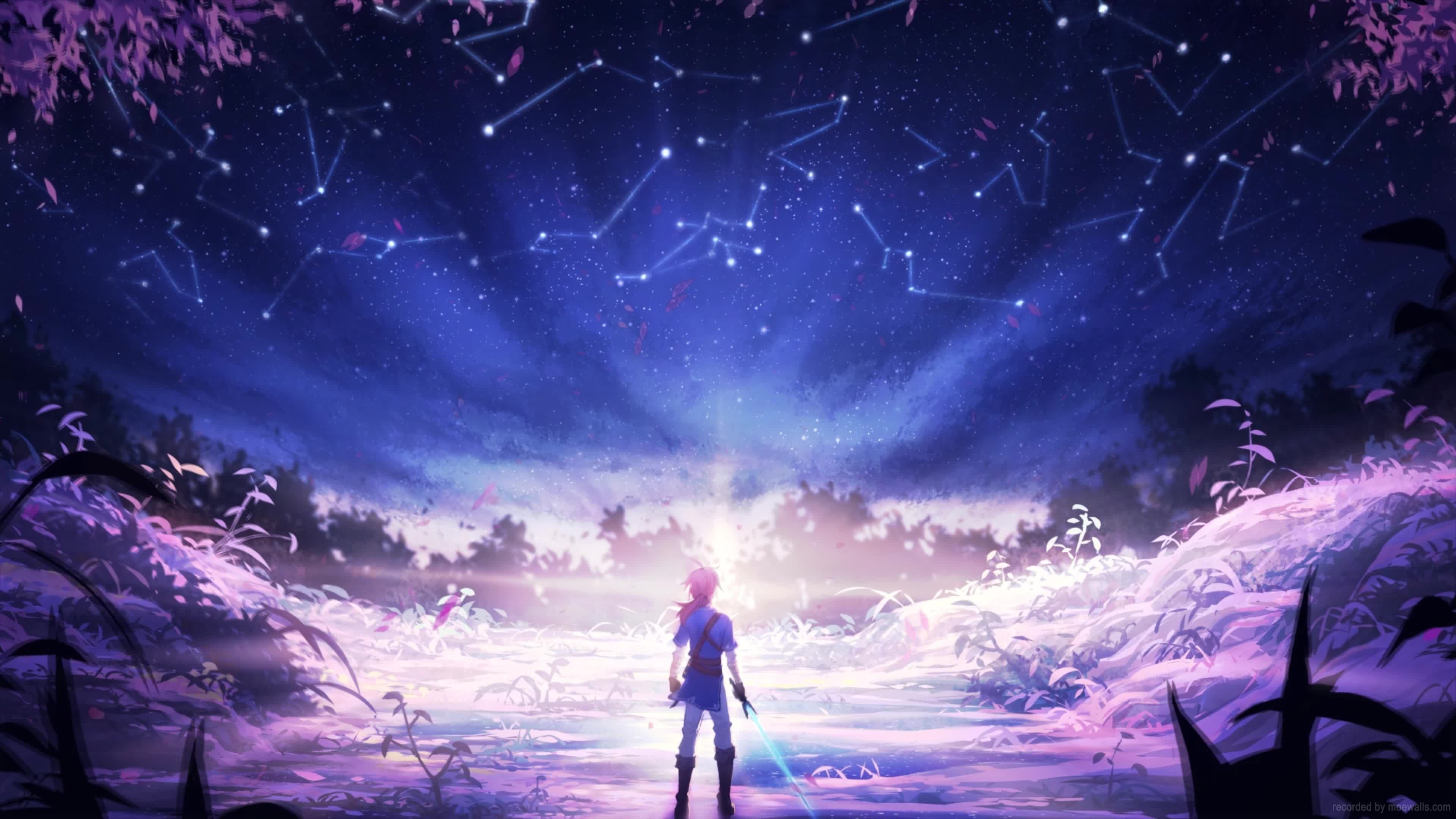 Desktop Link Constellations The Legend Of Zelda Breath Of The Wild Live Wallpaper