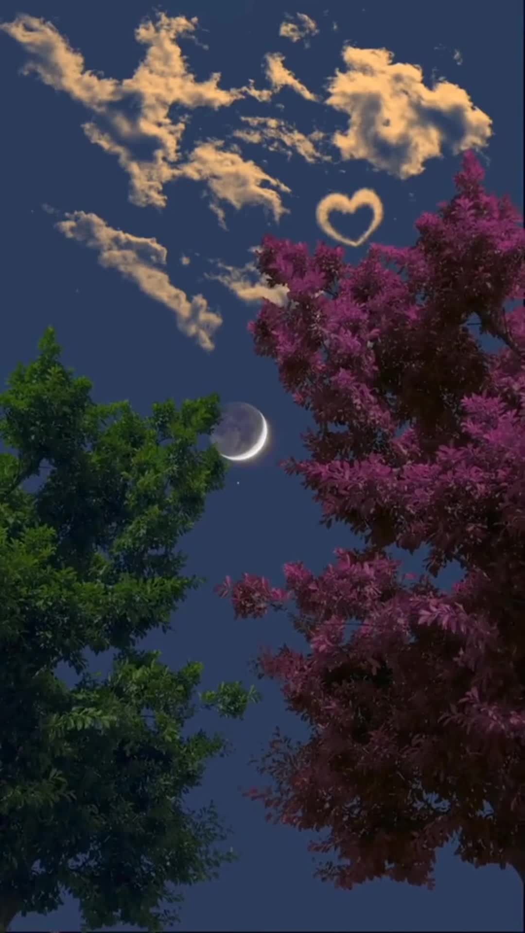 Android  Iphone Lunar Eclipse Phone Live Wallpaper