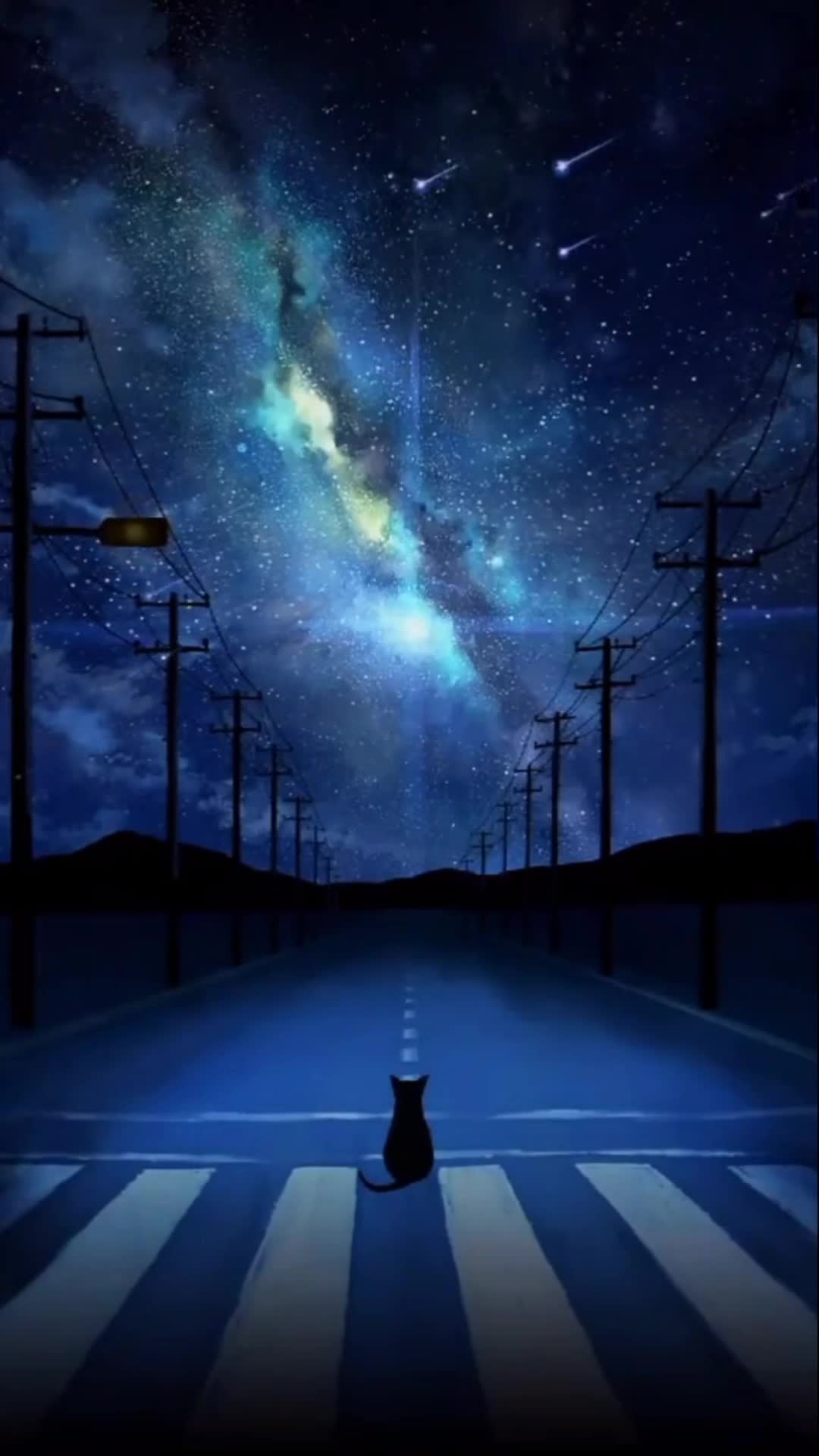 iPhone and Android Anime Black Cat On Sreet Live Phone Wallpaper