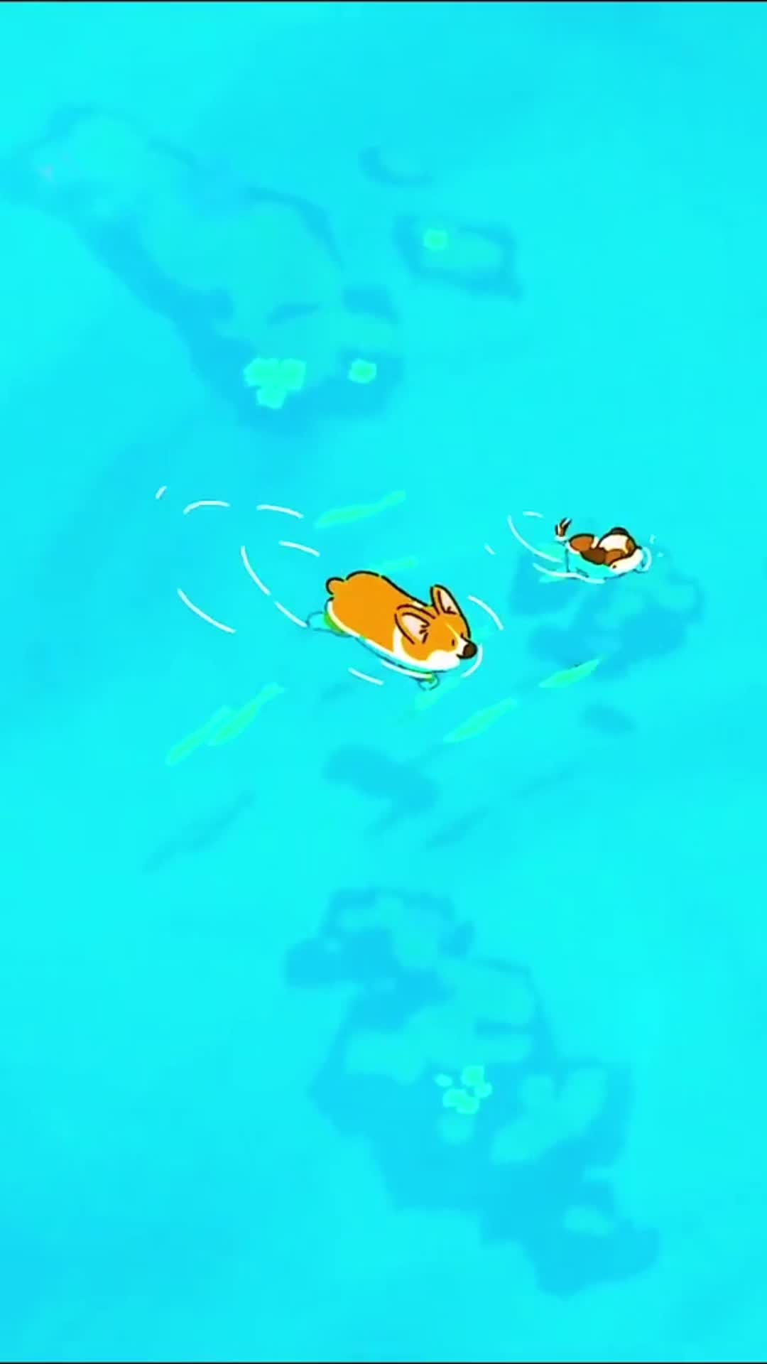 Chill Dogs Live Phone Wallpaper