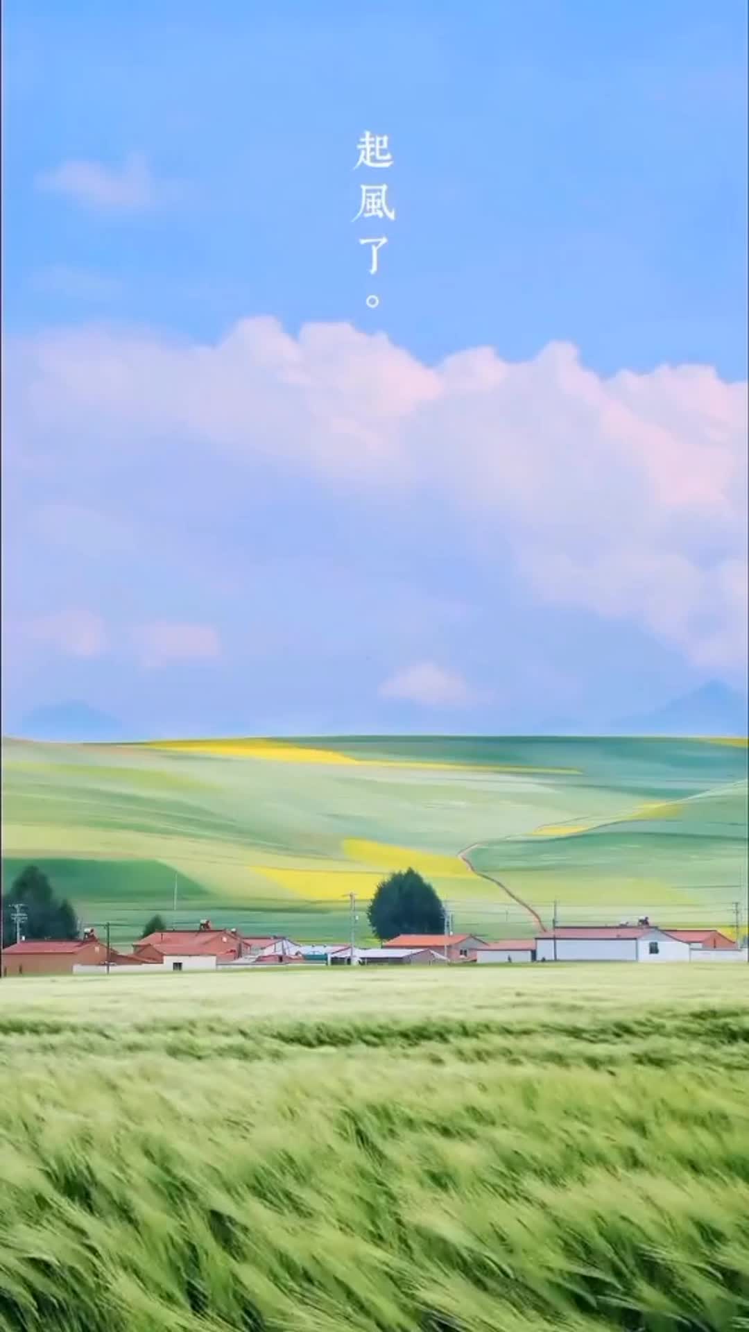 Android  iOS iPhone  blissful scenery live wallpaper