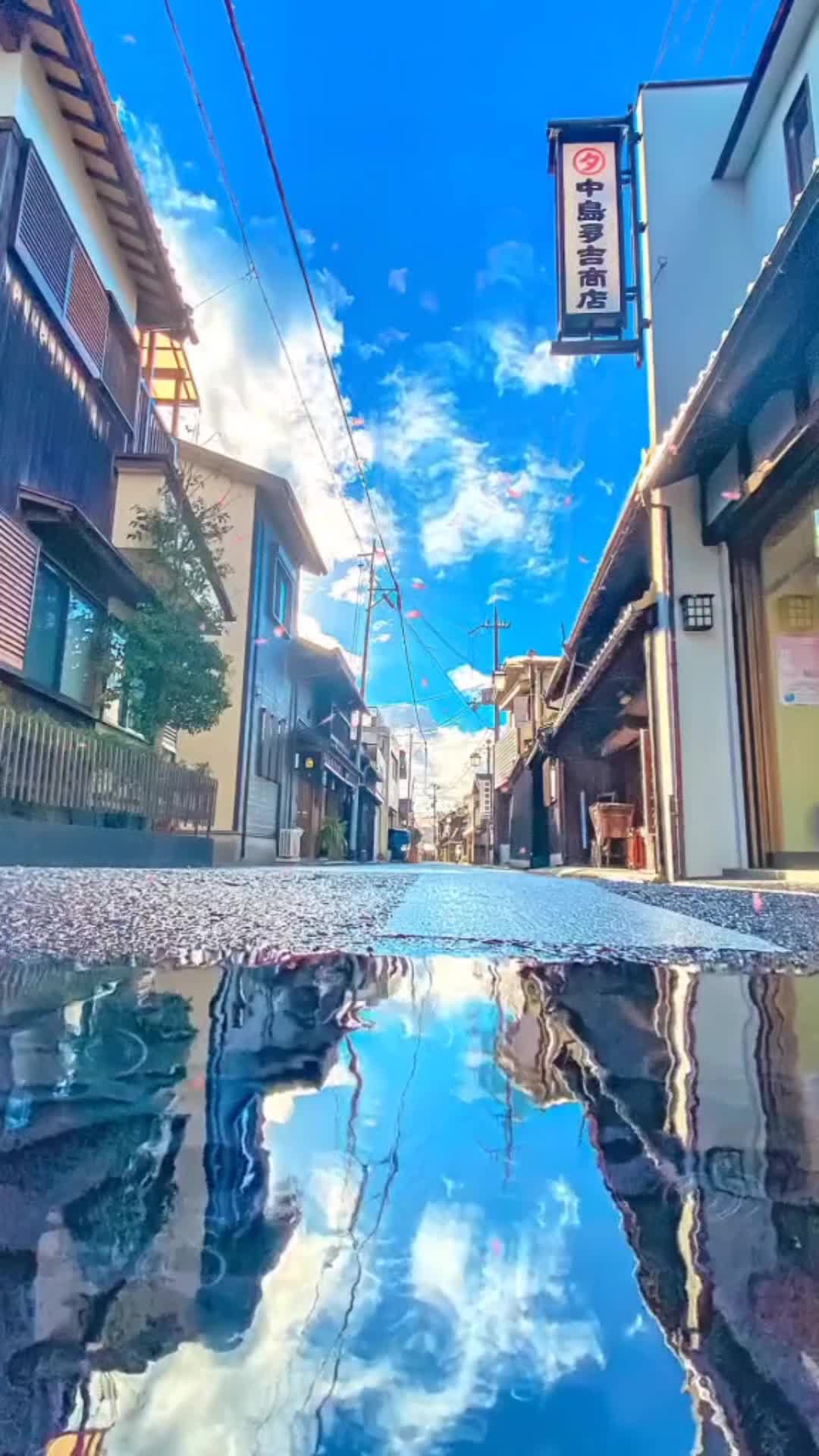 Android  iOS Anime Street Live Wallpaper