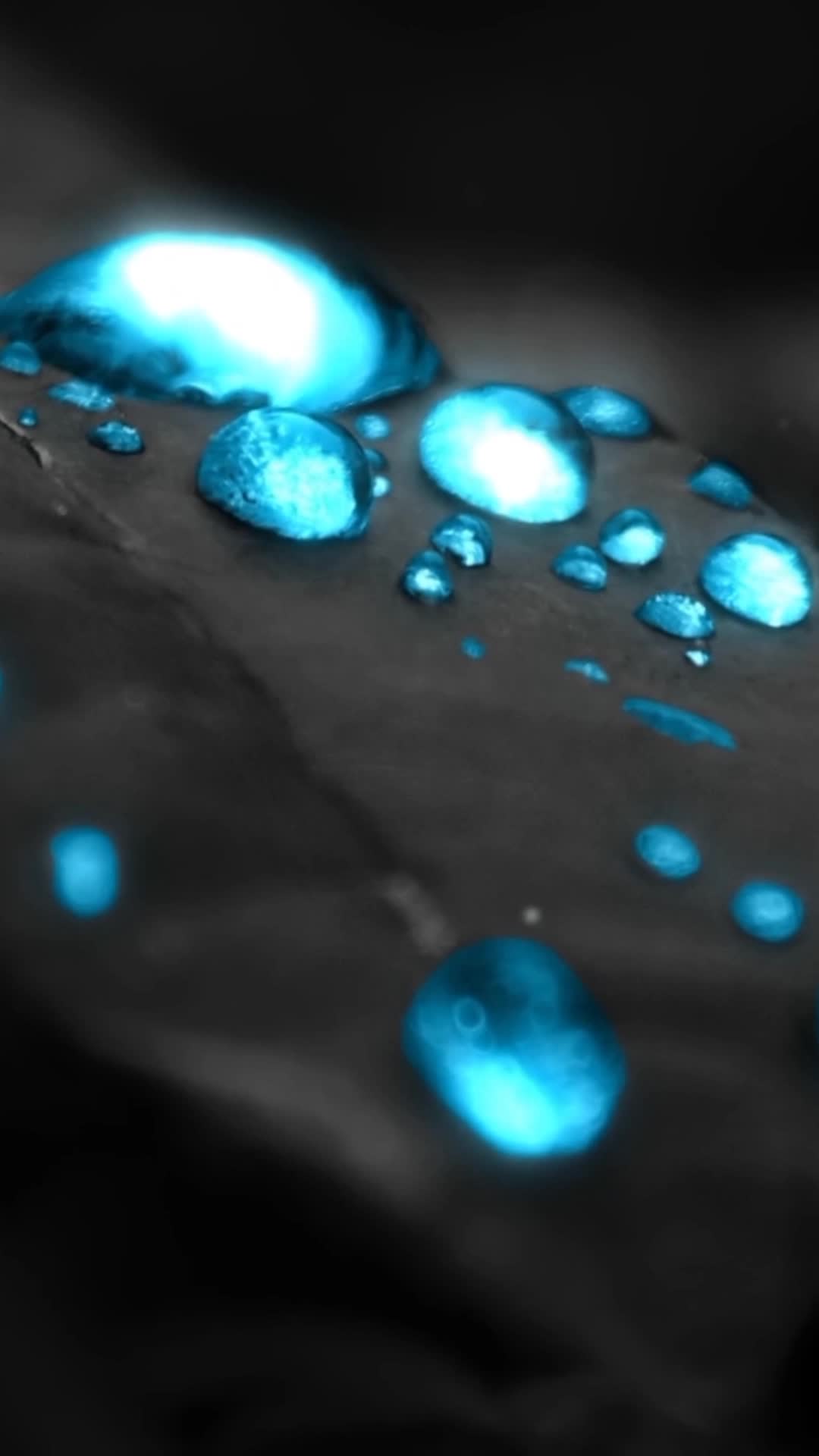 Cool Free Water Droplets Android iPhone Live Phone Wallpaper