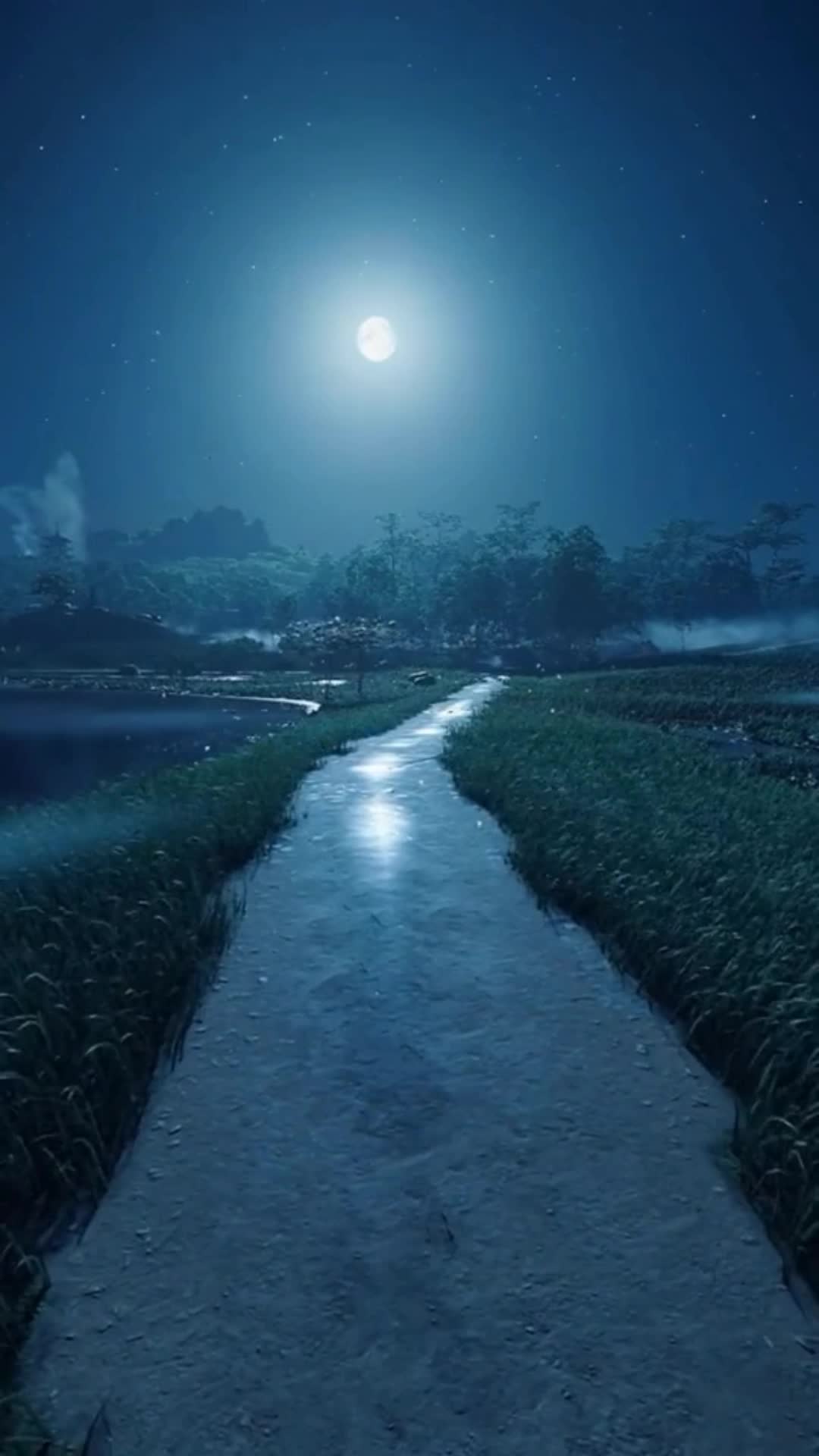 iOS iPhone  Android HD Full Moon Night Live Wallpaper 