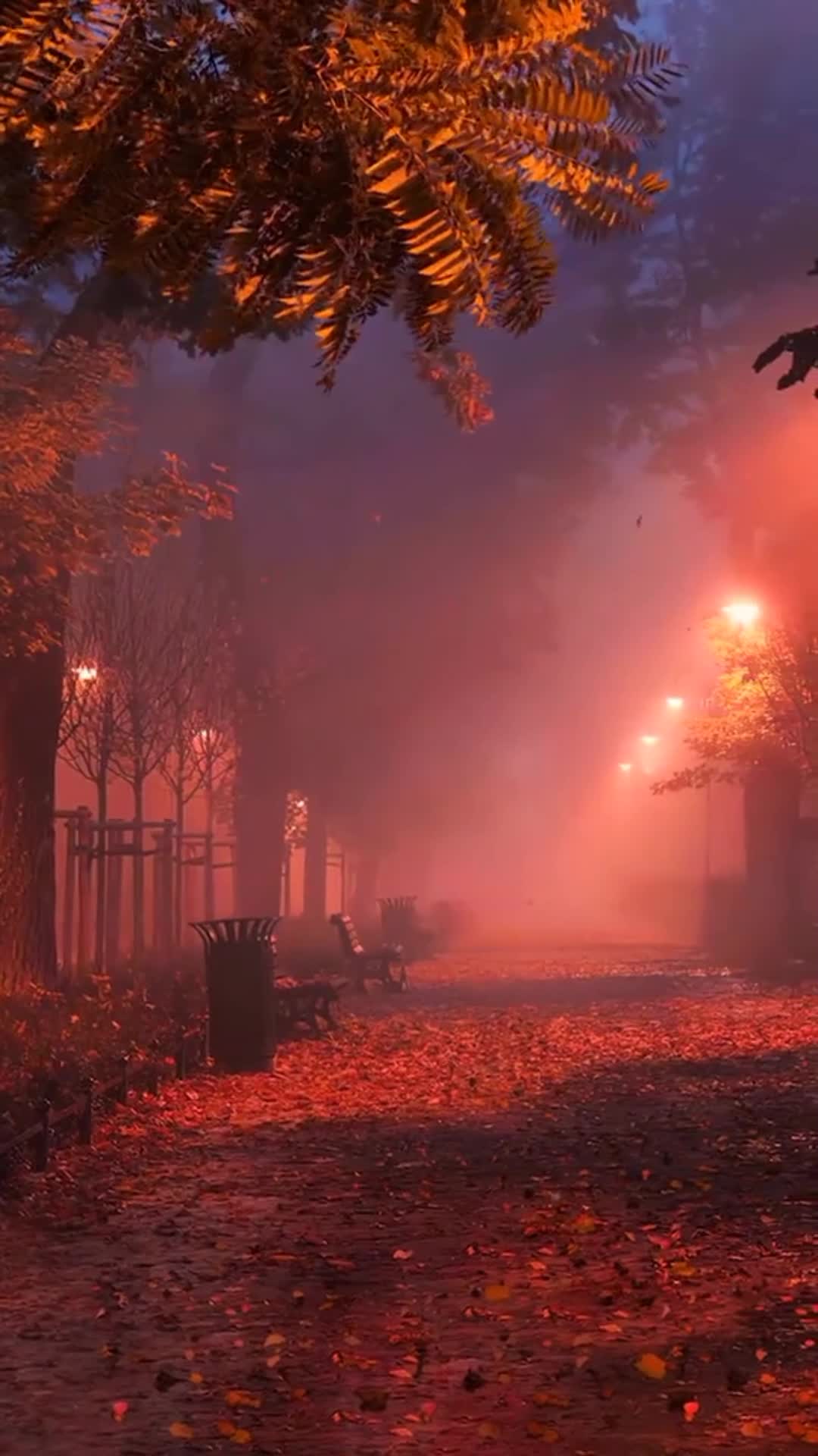 Autumn Live Wallpaper